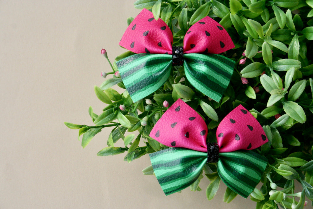 Ombré Watermelon Wren Piggy Set